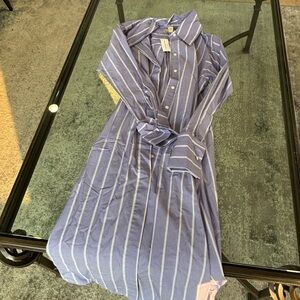 Banana Republic Long Sleeve Blue Striped Dress